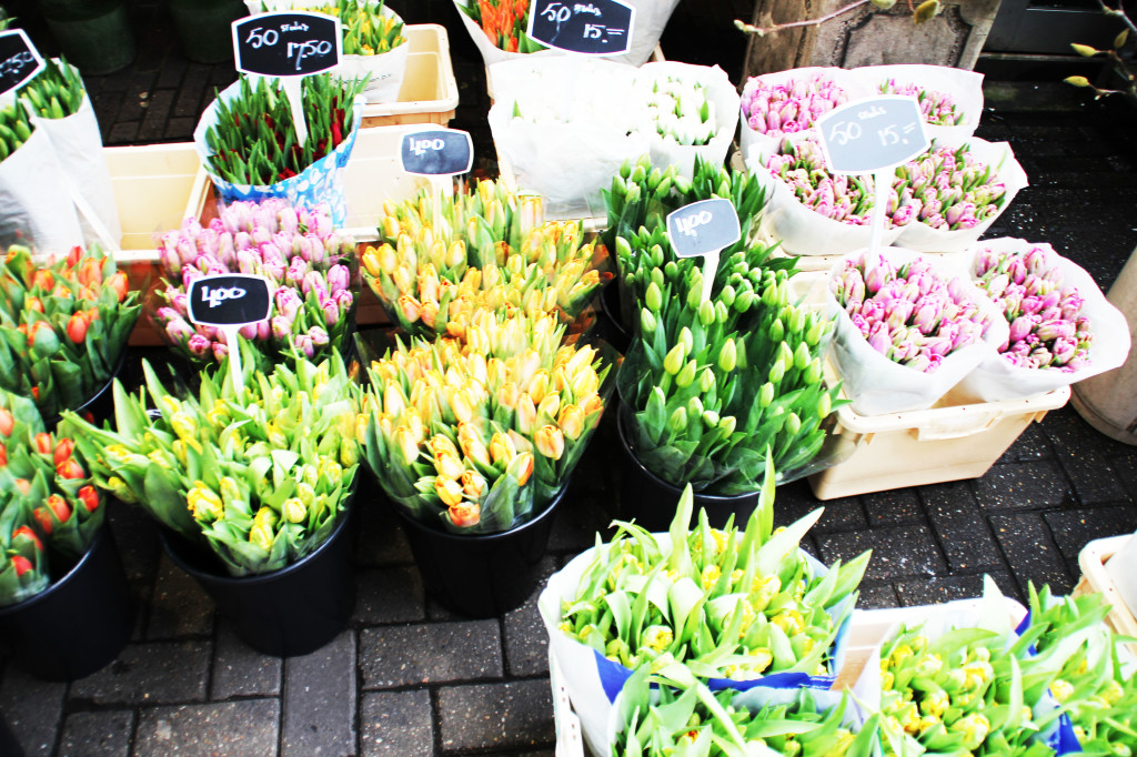 sei giorni in Olanda