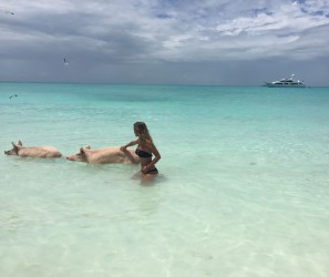 Fare il bagno con i maiali? Alle Bahamas si può! 2