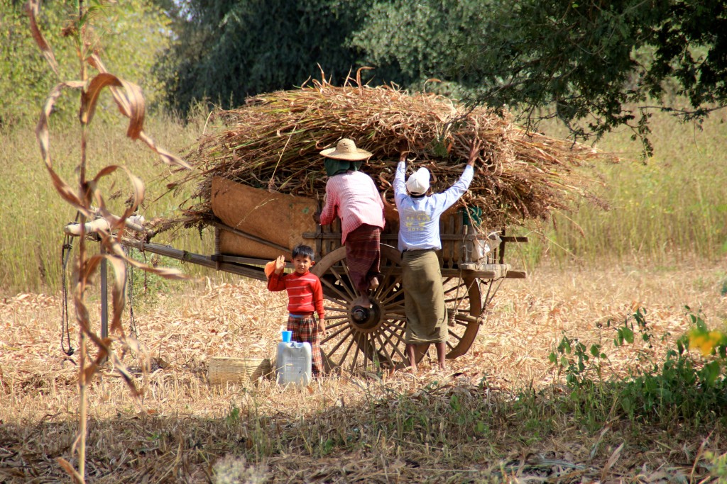 tre giorni a Bagan