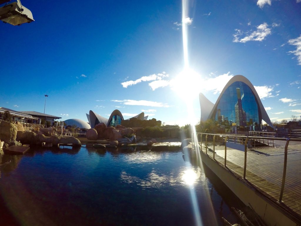 tre giorni a Valencia