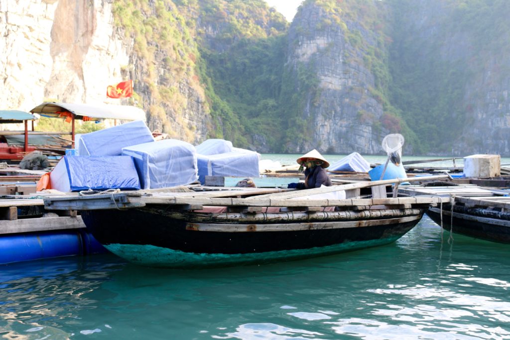 crociera nella baia di halong