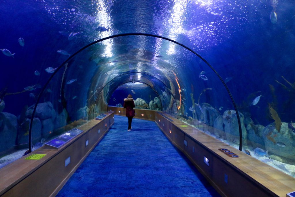 tre giorni a Valencia