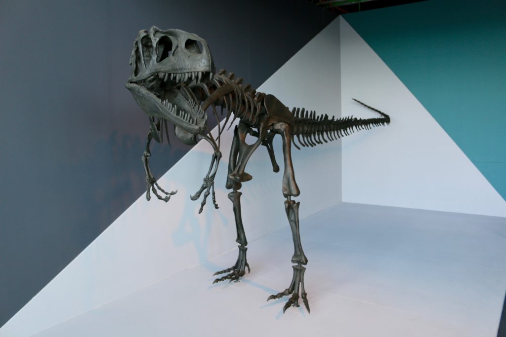 tre giorni a Valencia