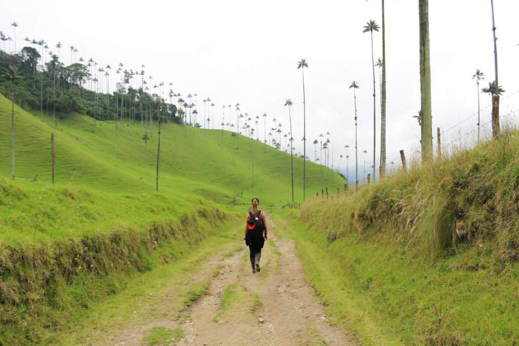 due settimane in colombia