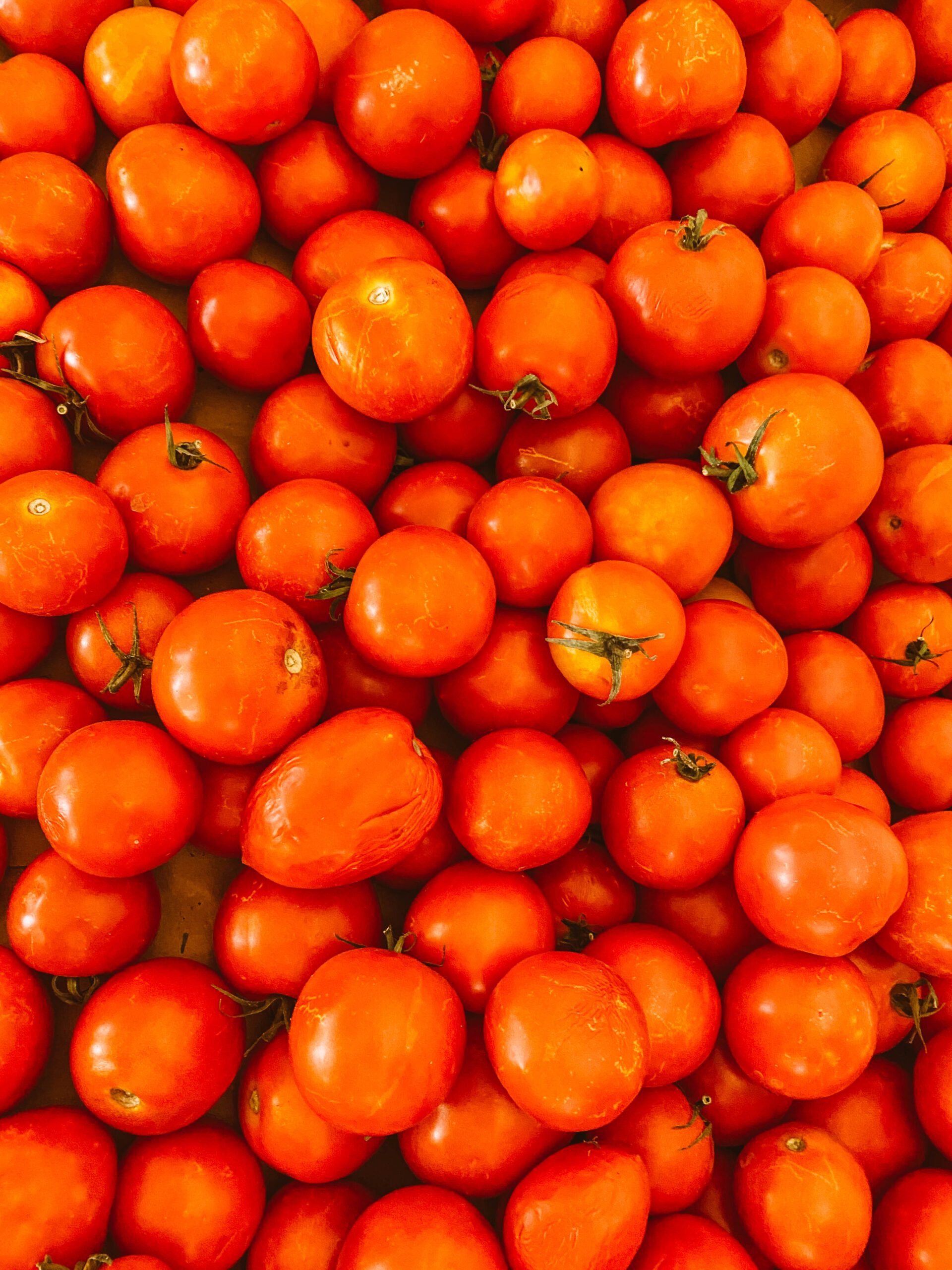 due giorni ad amalfi