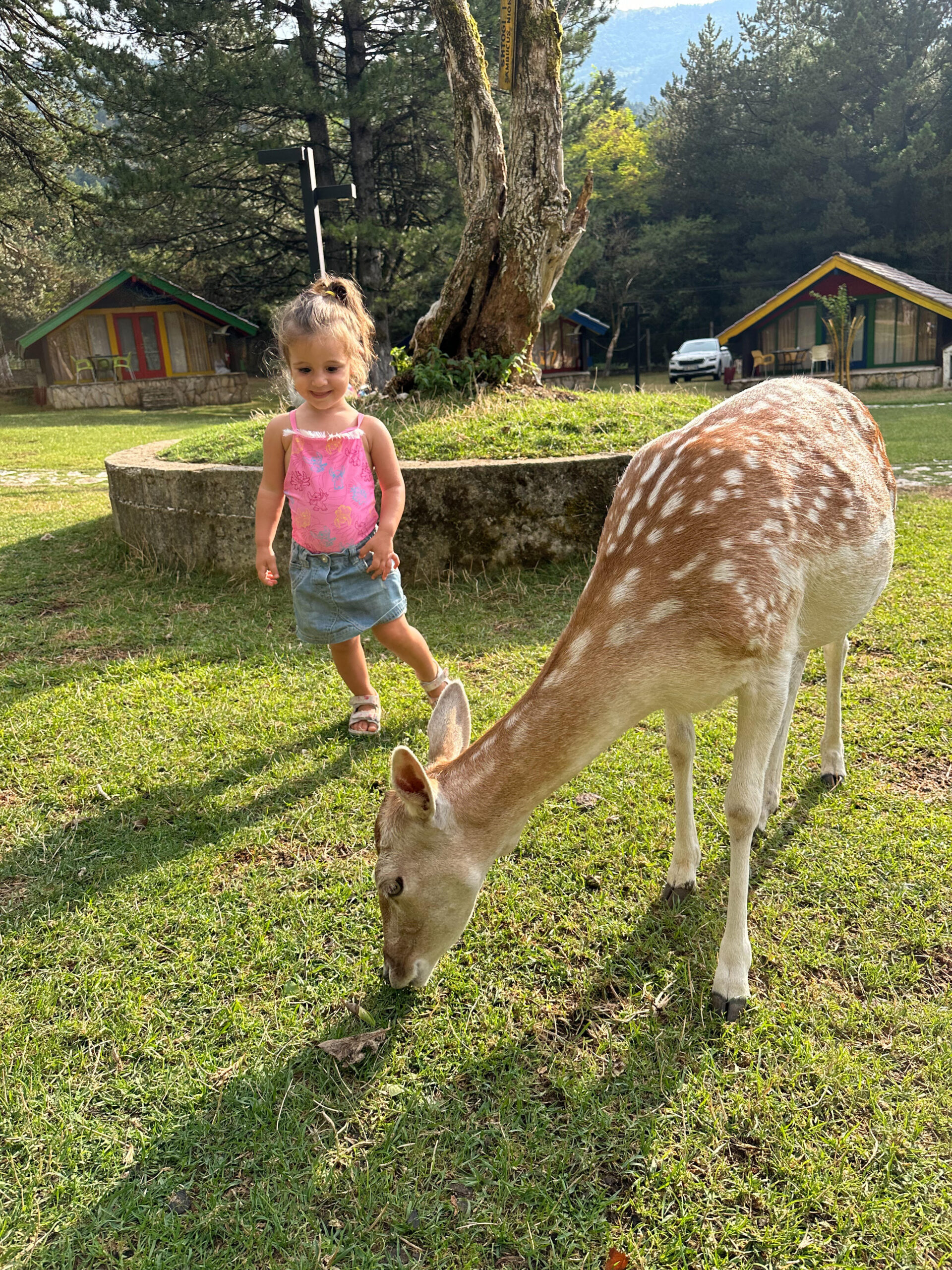 una settimana in albania