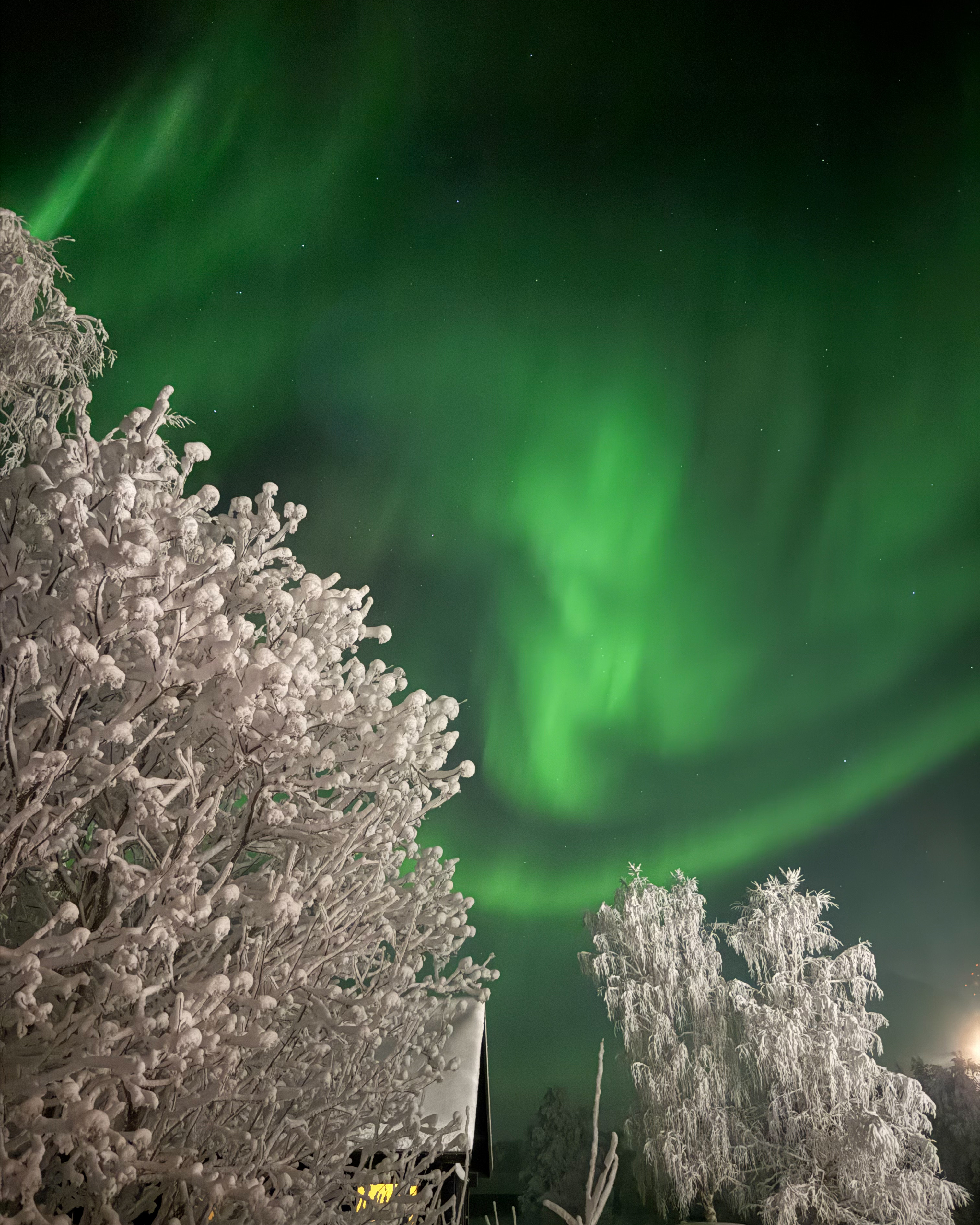 quanto costa un viaggio in lapponia