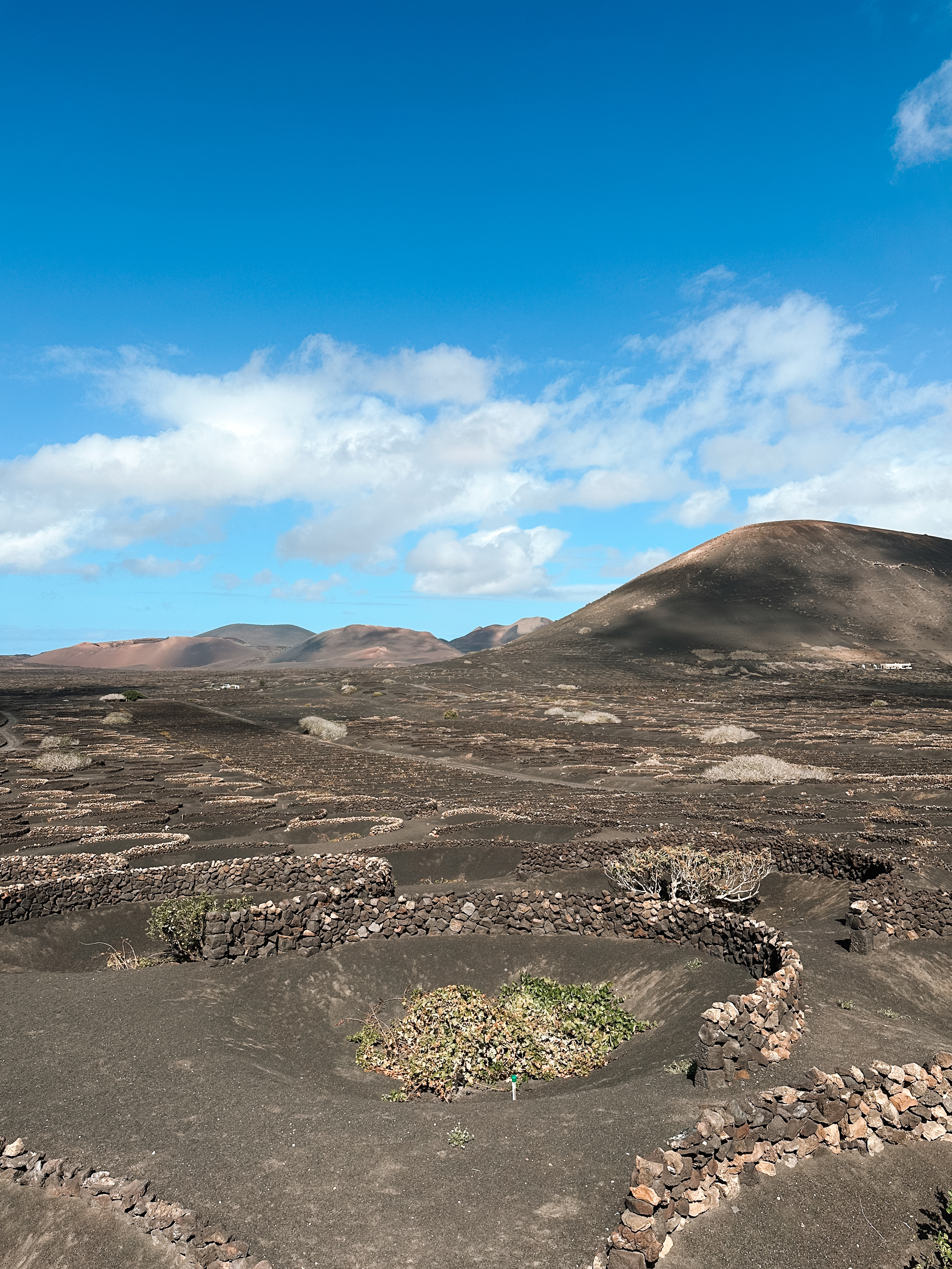 lanzarote con bambini